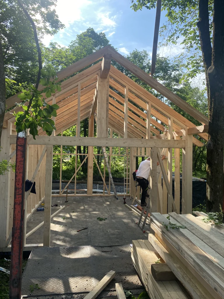 Brunarica iz Macesna (1)